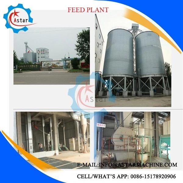 From a to Z Complete Chicken Feed Mill Plant
