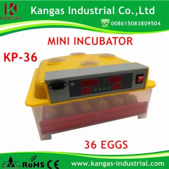 CE Marked Automatic Mini Chicken Egg Incubators for Hatching Eggs