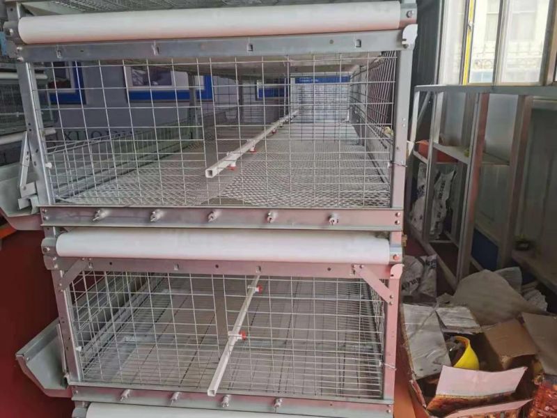 Broilerfactory Poultry Equipment Galvanized Cage H Type Cage