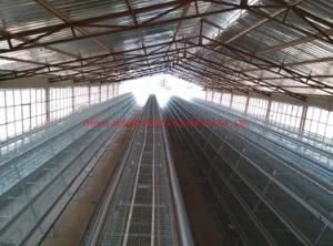 Complete Poultry Auto Feeding Equipment for Broiler / Breeder