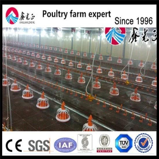 Supply of Broiler Feeds Chicken Feed