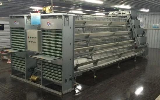 Full Automatic Egg Chicken Equipment with Cages