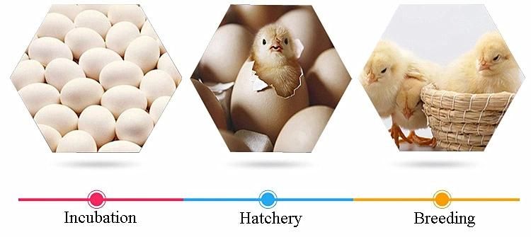 Automatic Chicken Incubator Hatching Eggs Solar Energy Egg Incubator
