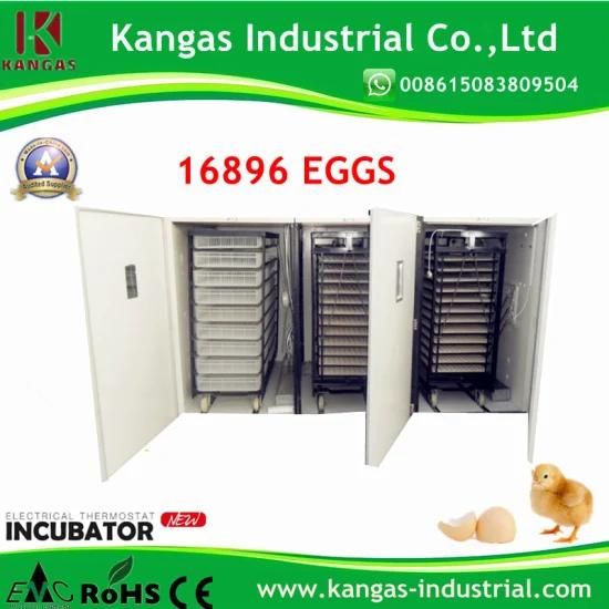 High Quality Automatic Poultry Egg Incubators Prices for Small Scale with Hunidify Tube ...