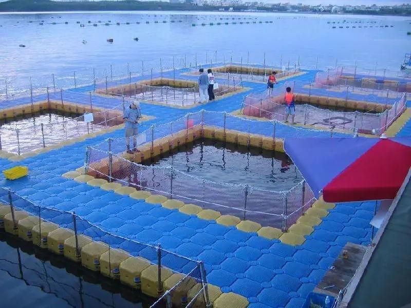 Aquaculture Deep Sea Farming HDPE Pipe Net Fish Cage