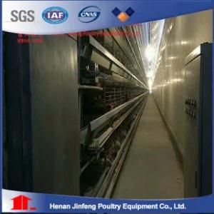 4 Tier H Type Poultry Farming Equipment with Ventilation System