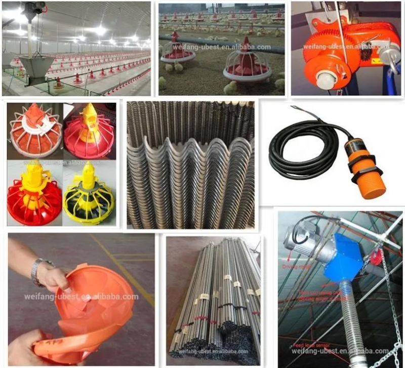 Free Range Automatic Poultry Equipment for Chicken Farm Factory