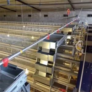 Poultry Use Hot Galvanization a Type Layer Cage