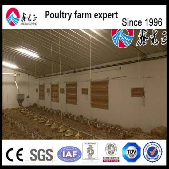 Poultry Farming Equipment Automatic Feeder for Broiler