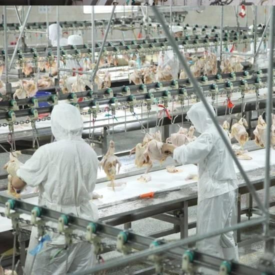 1000-10000bph Farming Poultry Slaughterhouse Portioning Transfer Equipment