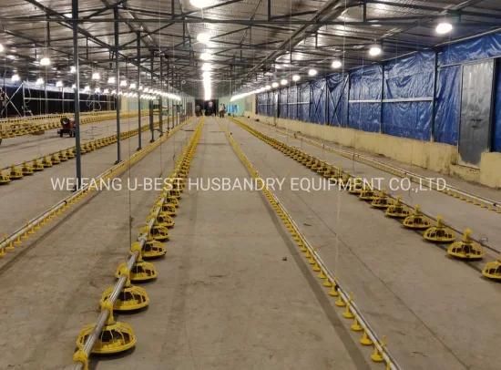 Factory Modern Design Complete Automatic Controlled Poultry House for 10000 Chickens