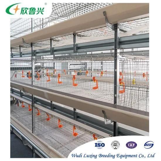Automatic Nipple Drinking Line Broiler Drinker System for Chicken Raising