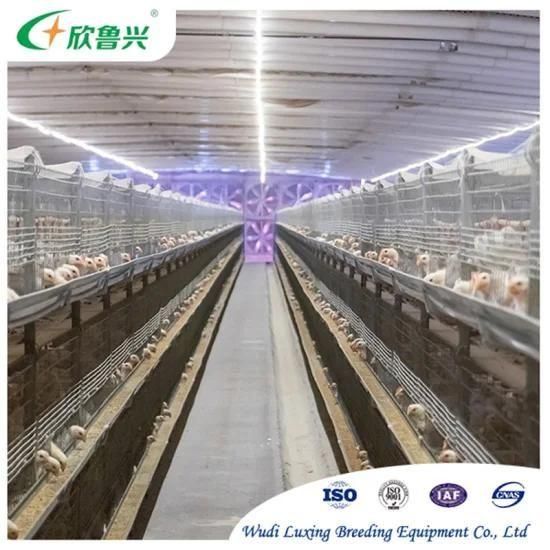 Broiler Poultry Farm House H Type 3 Tiers 4 Tiers Chicken Broiler Breeding Rearing Cages