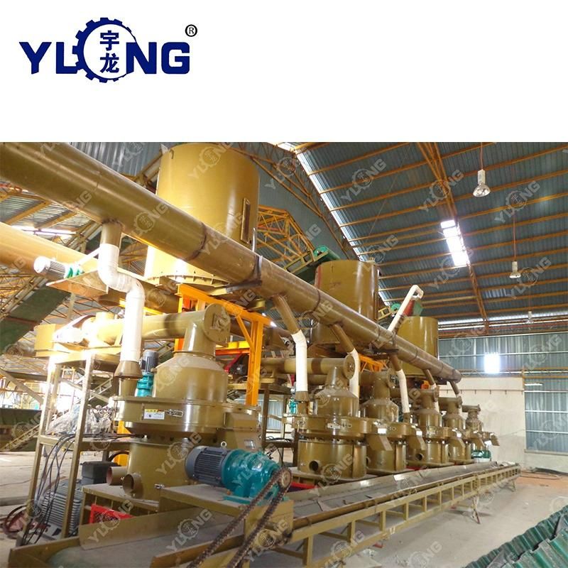 1 Ton/Hour CE Approved Palm Pellet Mill