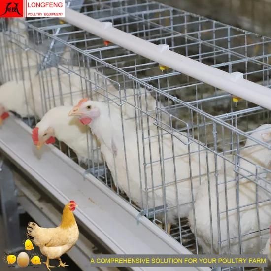 Longfenghigh Quality Manure Belt Removing Hopper Trolley Cart Poultry Farm Equipment