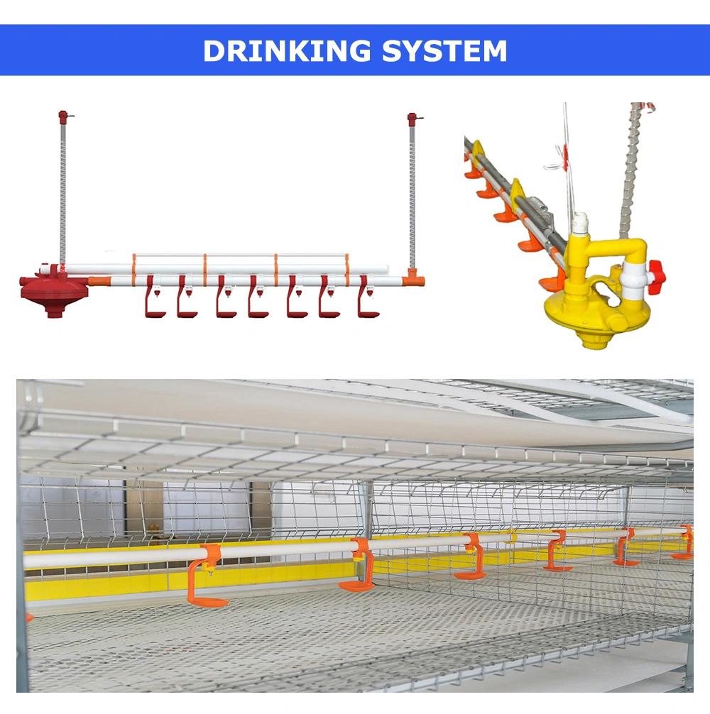 Feeding Systems Brooding Equipment Bangladesh Breeders Cages Poultry Battery Cage for Nigerian Farm