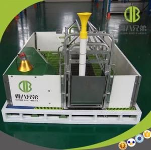 Hot Sale High Quality High Survival Rate Ued Farrowing Crates Pig Cage Equipment