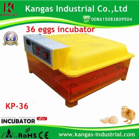 Mini Egg Incubator