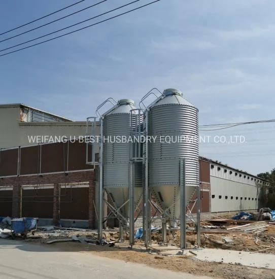 High Quality Automatic Controlled Poultry Farm in Africa for Chicken