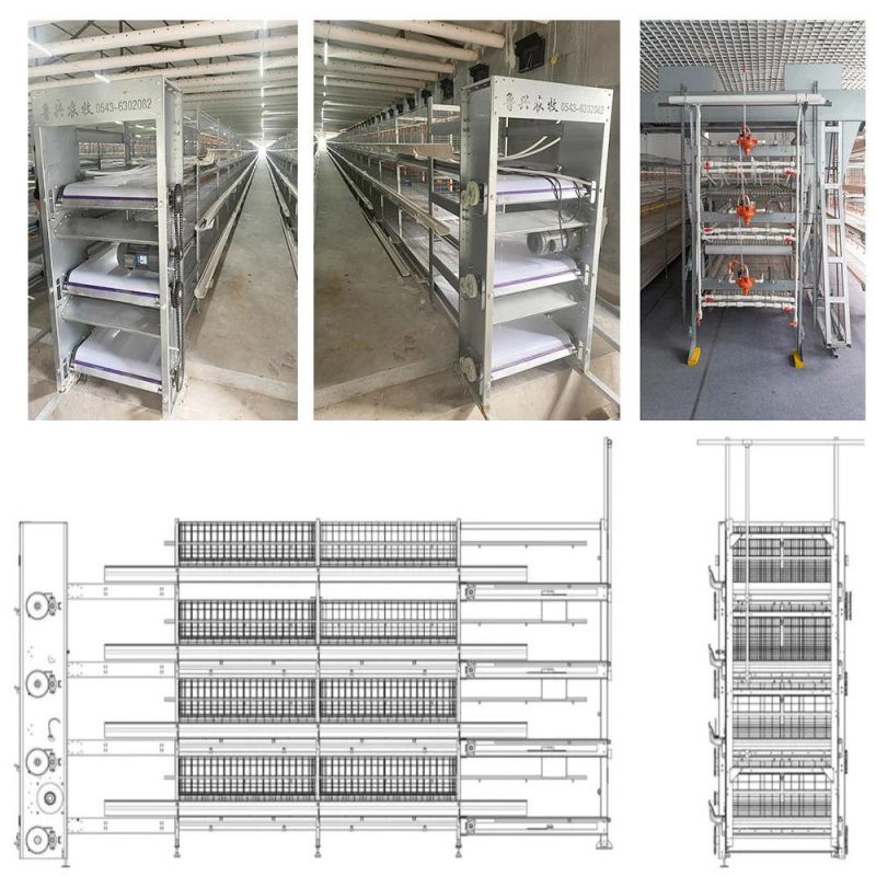 Manufacturer Poultry Equipment H Type Chicken Broiler Cage