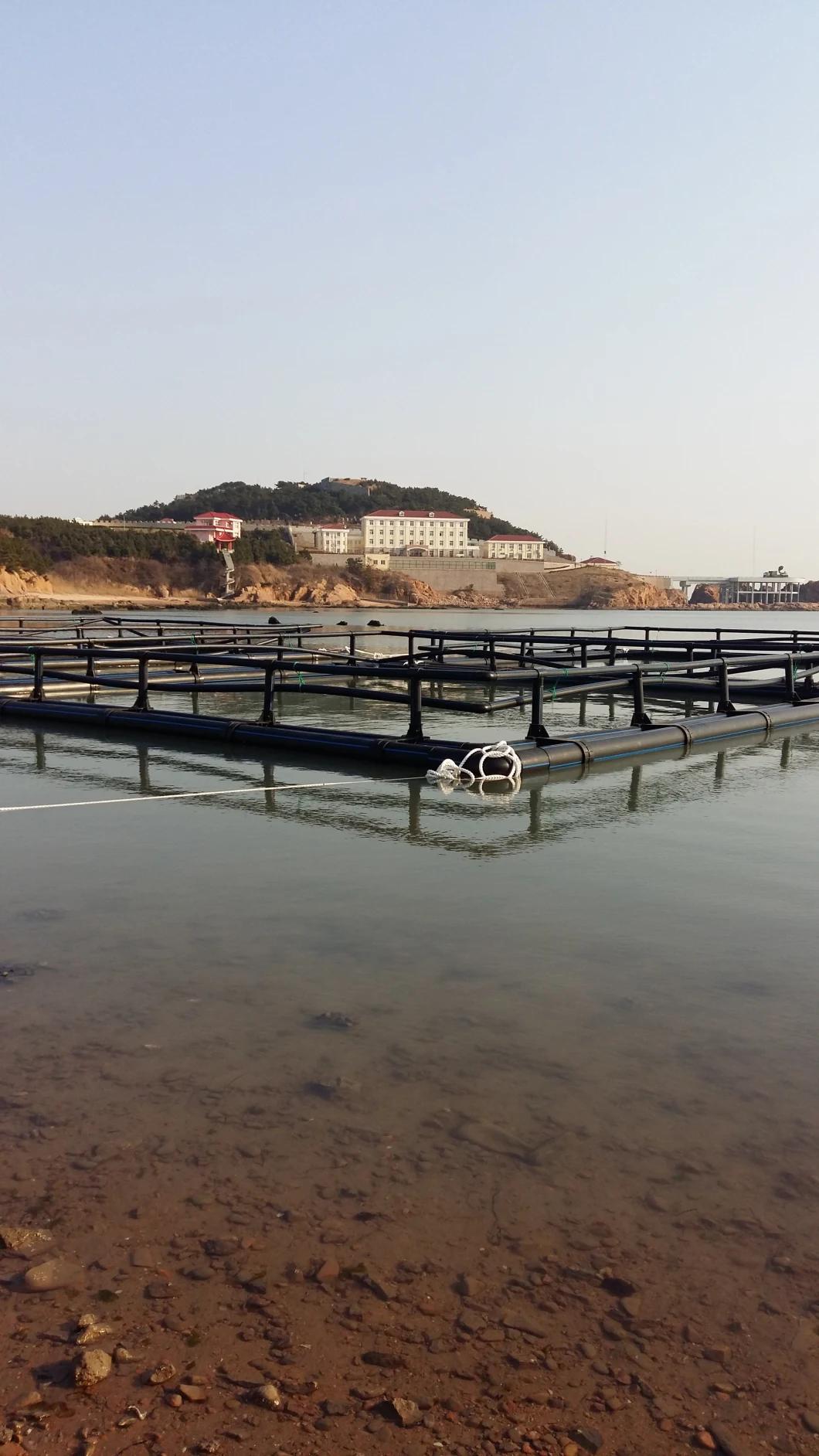 High Quality Aquaculture Anti -Pollution Anti-Wave Abalone Crab Net Fish Cage System