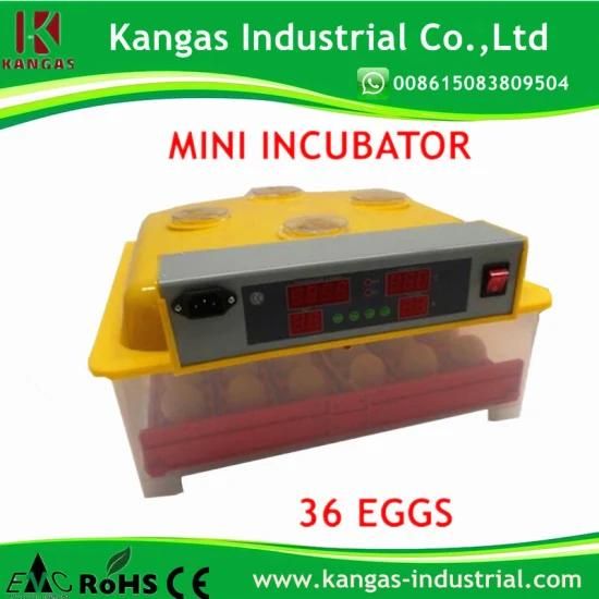 36 Eggs CE Approved Automatic Poultry Egg Incubator