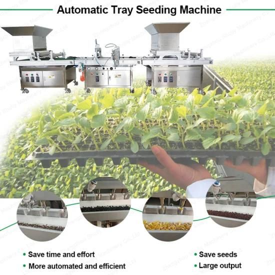 Automatic Onion Planting Machine Vegetable Nursery Seeding Machine