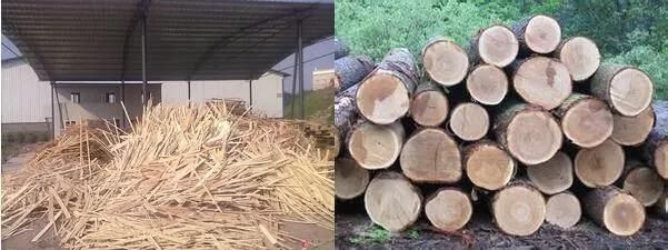 Forestry Farm Biomass Drum Wood Chipper