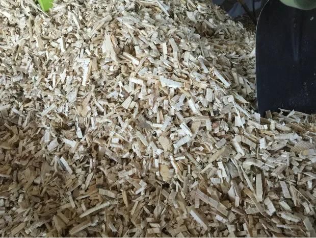 High Efficient Wood Chipper Price Popular in The World