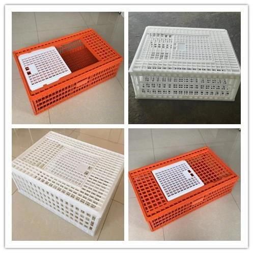 Pure Material Plastic transportation Box for Broiler Chicken