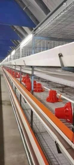 Hot Selling Good Quality Poultry Equipment for Chicken Layer Cage