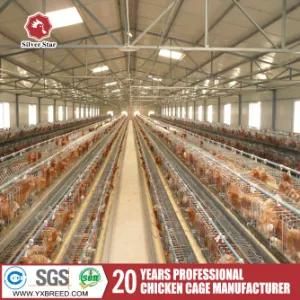 Battery Chicken Cage / Egg Chicken Cage / Automatic Chicken Layer Cage