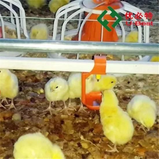 Automatic Poultry Farm Chicken Nipple Drinker