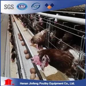 Hot Galvanized Automatic Chicken Farm Poultry Battery Cage System/Battery Layer Poultry ...