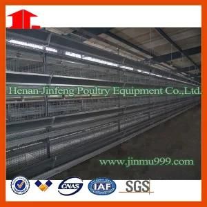 Jinfeng Hot Sell High Quality H Type Automatic Chicken Cage