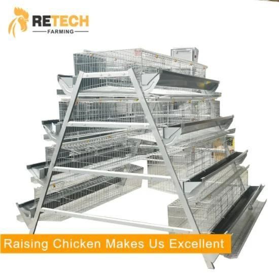 A Type Hot Selling Automatic Poultry Equipment For Layers