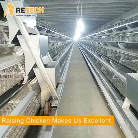 Good sale 3 tiers layer rearing chicken battery cage