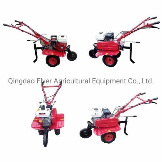 Small-Scale Agricultural Machinery/Farm Equipment/Mini Rotary Tiller