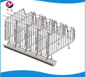 Sow Gestation Crate with Hot Dipped Galvanized Treatment/ Livestock Machine