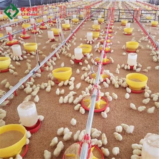 Poultry Farm Design/Poultry Farm House Design/Poultry Farming System for Chickens