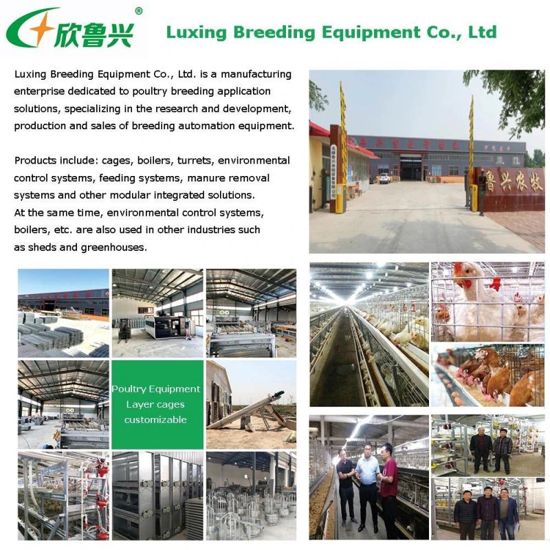 Hot DIP Galvanized Steel Broiler Chicken Cage for Battery Farm