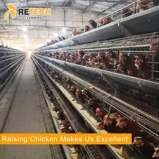 A Type Automatic Chicken Battery Laying Hens Cage for Sale