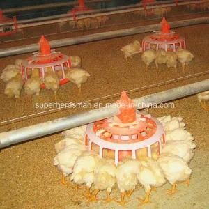 Automatic Poultry Farming Equipment for Breeder Chicken