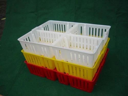 Plastic Transporting Chick Crate/Box for Chick