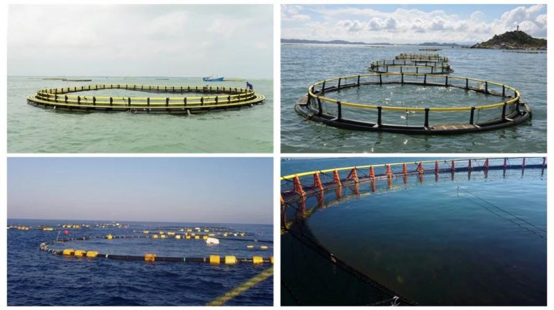 High Quality HDPE Aquaculture Fish Farming Floating Net Cages Equipment for Tilapia Fishing Cages 50m