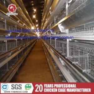 Layer Chicken Cages with Poultry Equipment for Angola Farm