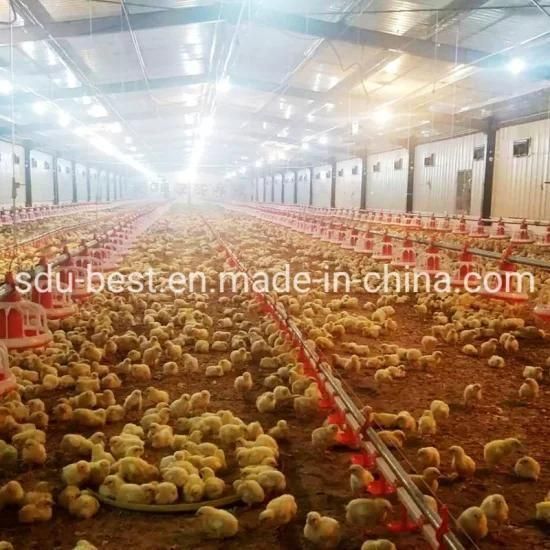 Prefab Poultry House Chicken Farm Feeder for Broiler/Breeder