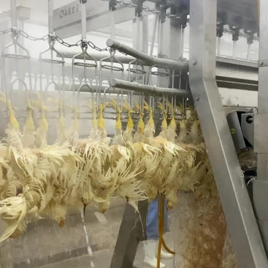 Poultry Chicken Duck Scalding Machine Slaughter Equipment on Sale