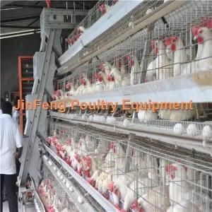 Hot Sell High Quality H Type Automatic Chicken Cage System