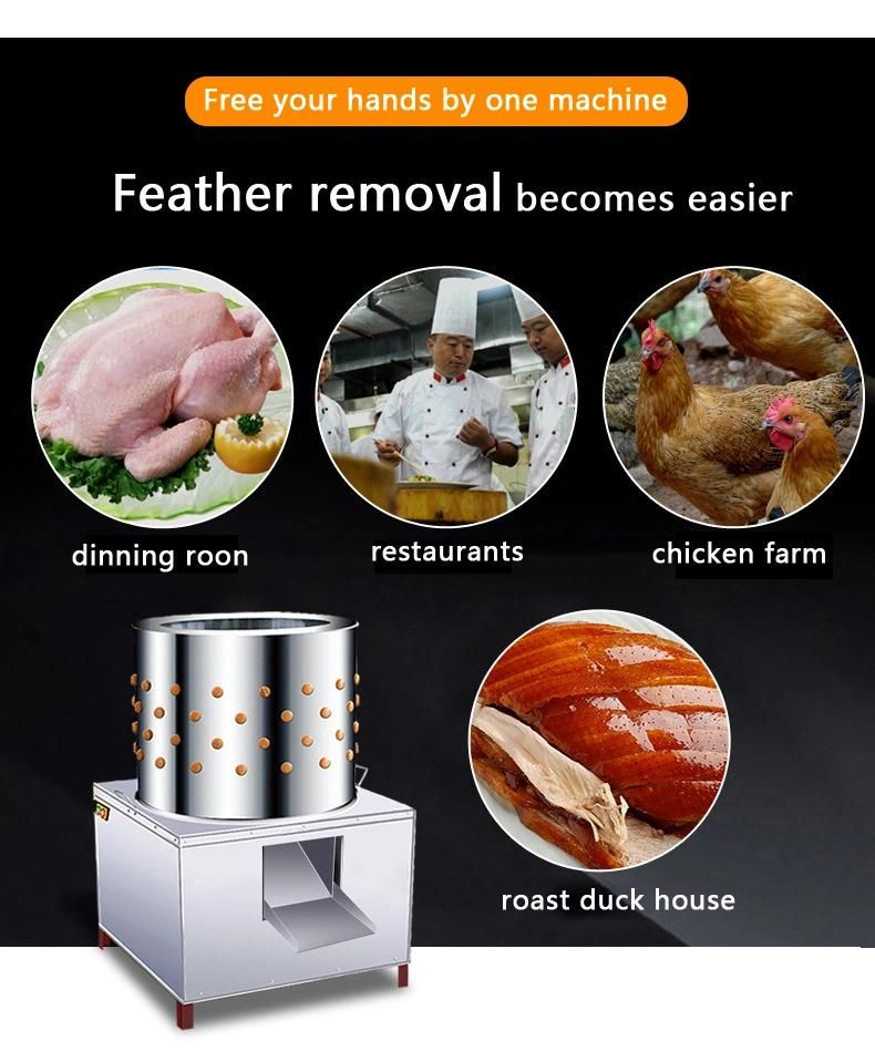 Quail Rubber Hair Removal Turkey Feather Cleaning Chicken Poultry Plucker Plucking Machine Chicken Gear Scalder and Plucker